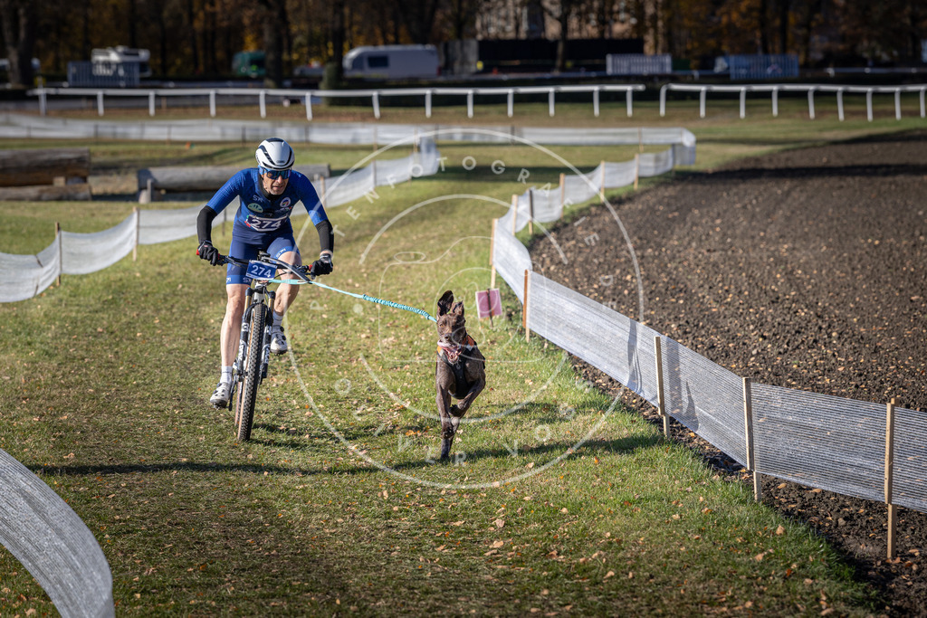 CaniXpix_DV3A5291 | Hundefotografie, Tierfotograf, Pfotenfotografie, Fotoshooting Hund, Hunde Portrait, Hundesport, Hundeportraits, Heideshooting, Hunde, Sportfotograf, Hundefotograf, Turnierhundsport, THS,  - Realisiert mit Pictrs.com