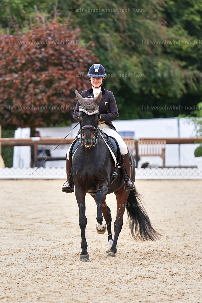11-191-Dressur S___-Marixx-1800 | working equitationturnier fotograf videograf stoibphotography marixx film working equitation deutschland reitsport turnierfotografie eventfotografie equestrian events