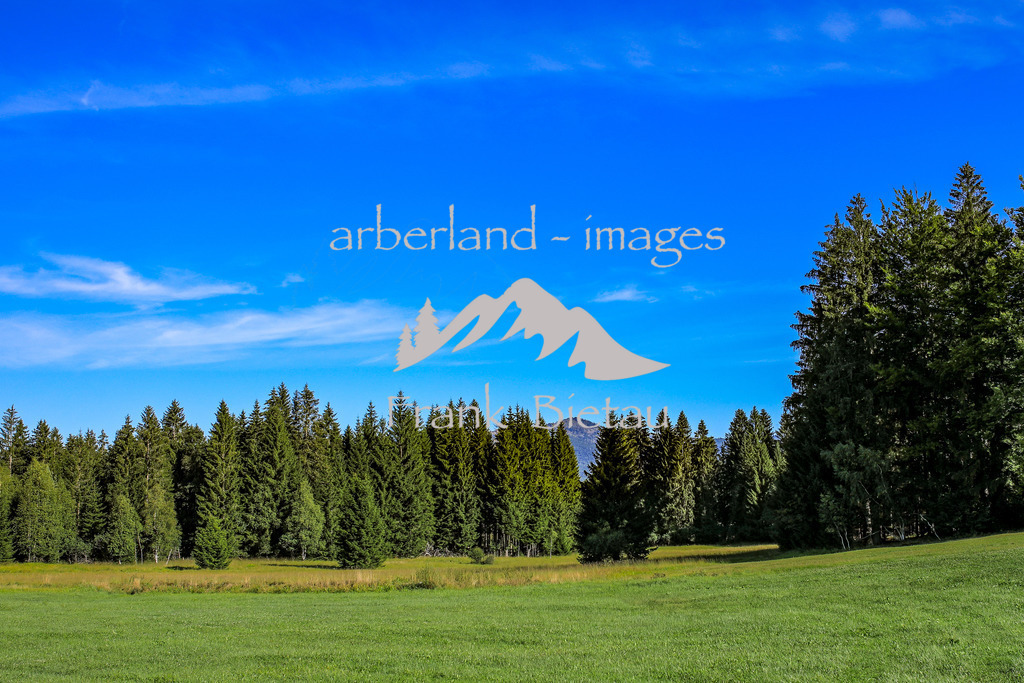 OE7A7675 | die Hochmoorlandschaft im Nationalpark ist großteils nur über Holzbohlenstege zu erkunden.