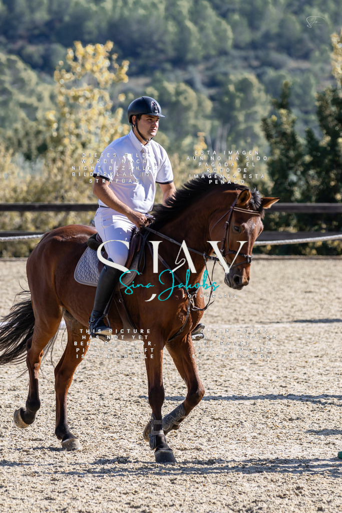 IMG_0713 | s-jay-photography - Realisiert mit Pictrs.com