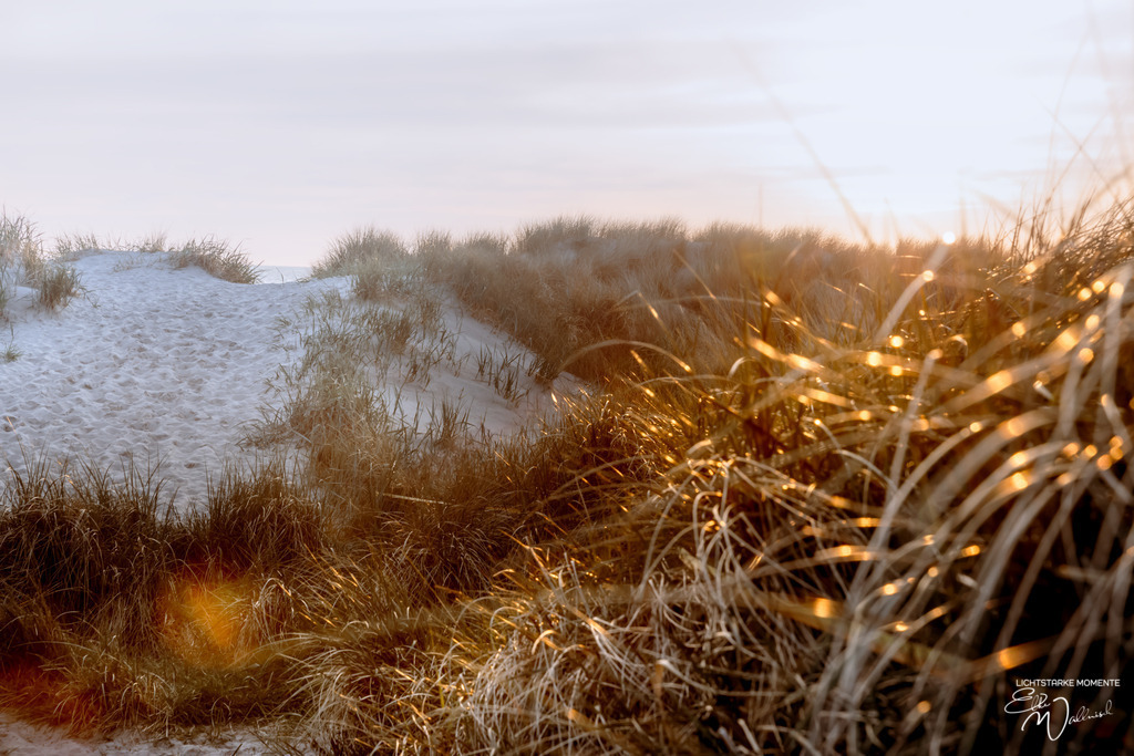 20240506-202244 NORDSEE SPO _103-1 | Herzlich willkommen auf meiner Seite! Ich bin Elke Wallnisch, Deine Fotografin für lichtstarke Momente. Der Name steht für alles, was mich mit der Fotografie verbindet: Das Licht und seine machtvolle Wirkung auf eine Situation oder unsere Stimmung - Realisiert mit Pictrs.com