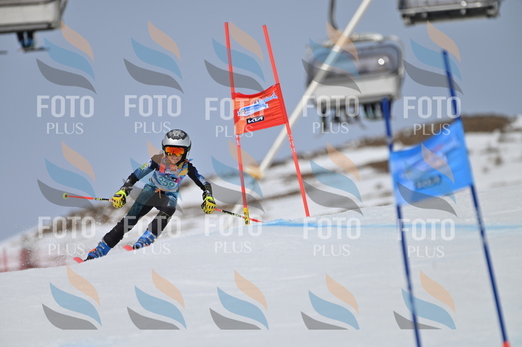 BGV_5125 | holidayphoto