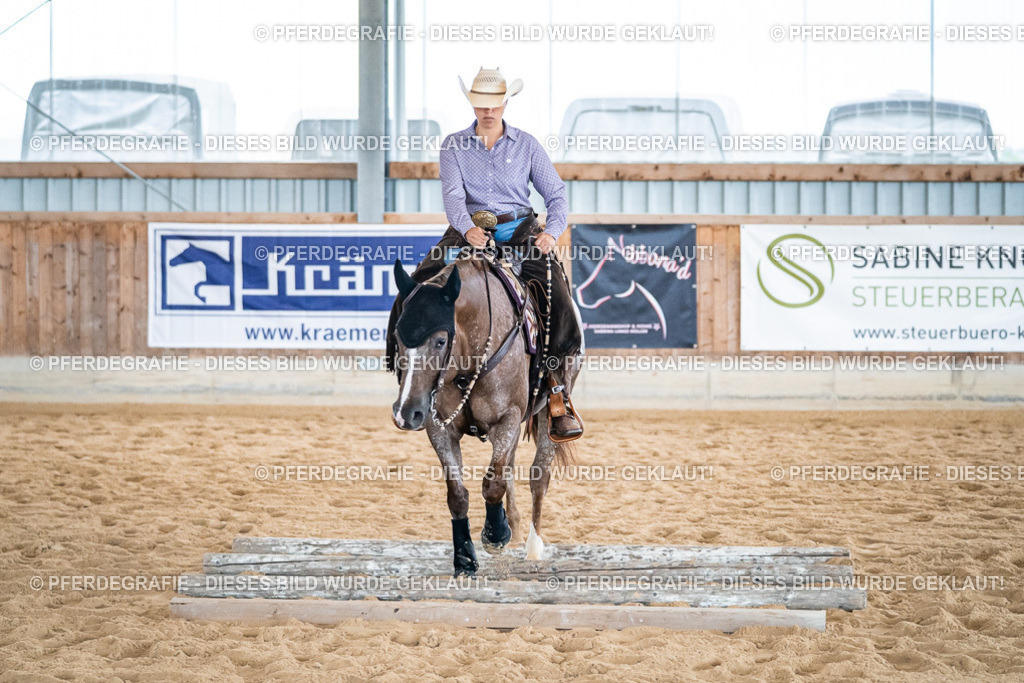 DSC03275 | Pferdegrafie