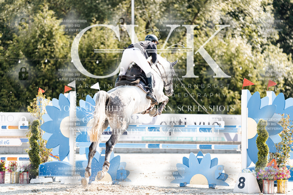 CK902360 | Turnierfotografie Pferdefotografie Trier Rheinland-Pfalz Pferdesport Reitsport Tierfotografie Sportfotografie Pferdevideo Pferdevideografie Equestrianvideography equestrianphotography  - Realisiert mit Pictrs.com