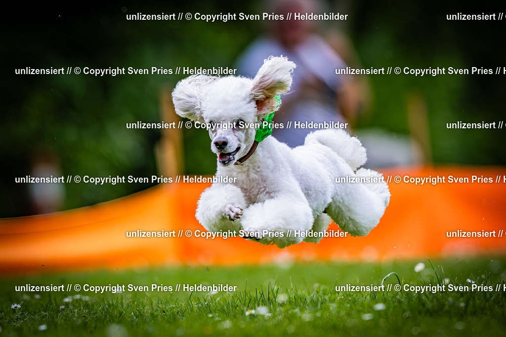 Sven Pries | 2025-05-29 - Pudelrennen KA-Durlach - Realisiert mit Pictrs.com