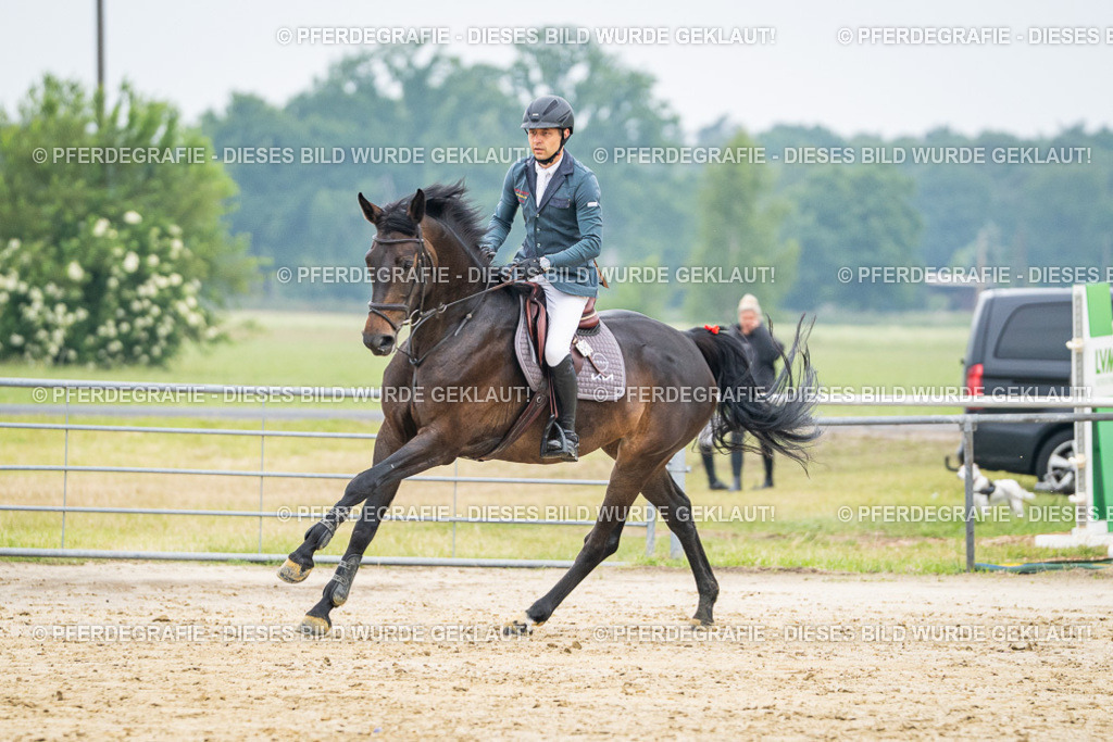 DSC00265 | Pferdegrafie