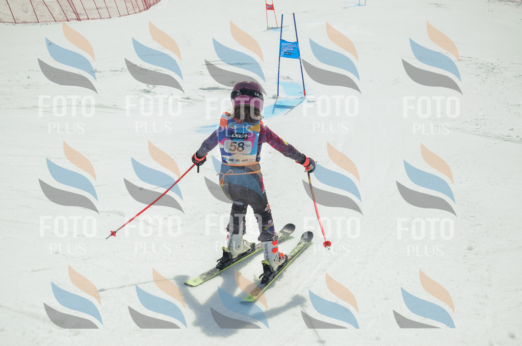 _ELE5289 | holidayphoto