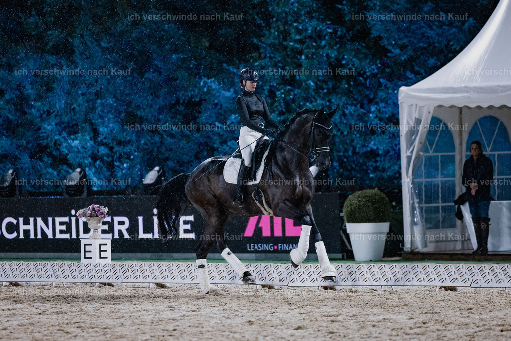 FHClassics-117 | working equitationturnier fotograf videograf stoibphotography marixx film working equitation deutschland reitsport turnierfotografie eventfotografie equestrian events