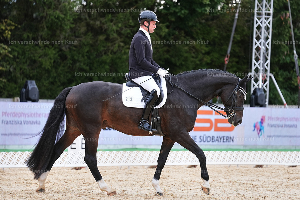 3-213-Dressur M_-Marixx-2004 | working equitationturnier fotograf videograf stoibphotography marixx film working equitation deutschland reitsport turnierfotografie eventfotografie equestrian events