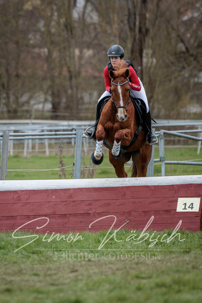 20260329-_3LI5766 | Tierfotografie Pferde, Hunde, Katzen, Haustiere.
Turnierfotografie Reitturniere, Reiten, Springreiten, Dressur in Hanau, dem Main-Kinzig-Kreis und dem Rhein-Main- Gebiet um Frankfurt