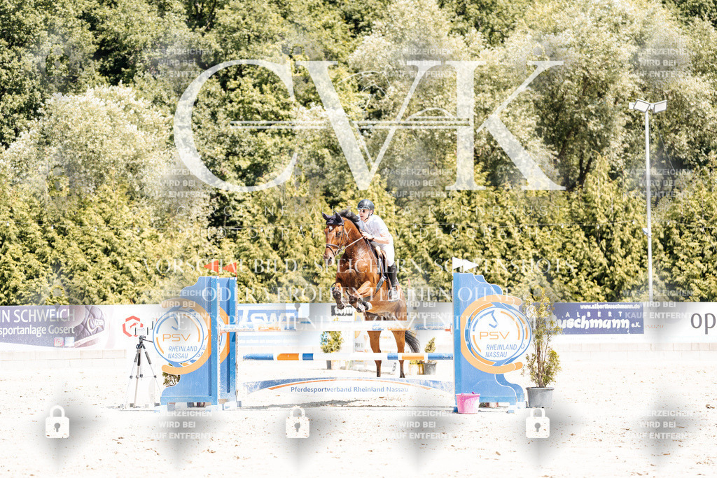 CK900547 | Turnierfotografie Pferdefotografie Trier Rheinland-Pfalz Pferdesport Reitsport Tierfotografie Sportfotografie Pferdevideo Pferdevideografie Equestrianvideography equestrianphotography  - Realisiert mit Pictrs.com