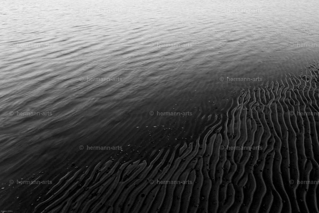Hermann-Arts_Seaside_063 | Photo Foto Kunst Art schwarzweiss Bilder Rheine Münster Berlin Blumen 