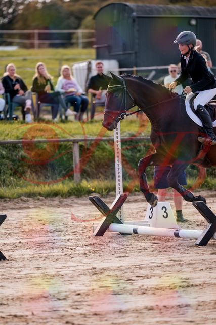 2026_10_03_Siefer-Hof_144031_Z81_11353212 | Professionelle Reitsport-, Turnier- und Eventfotografie von Robert Broda. Galerien mit ausgewählten und bearbeiteten Bildern direkt online ansehen und bestellen.