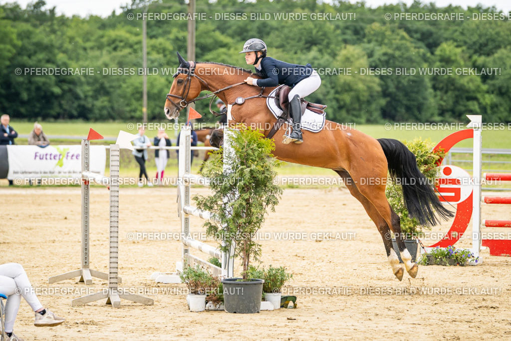 DSC06167 | Pferdegrafie