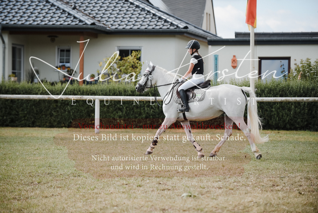 DSC_5529 | Pferde- und Turnierfotografie in Westsachsen. Pferdeportraits, Auftragszeichnungen und intuitive Kunst.