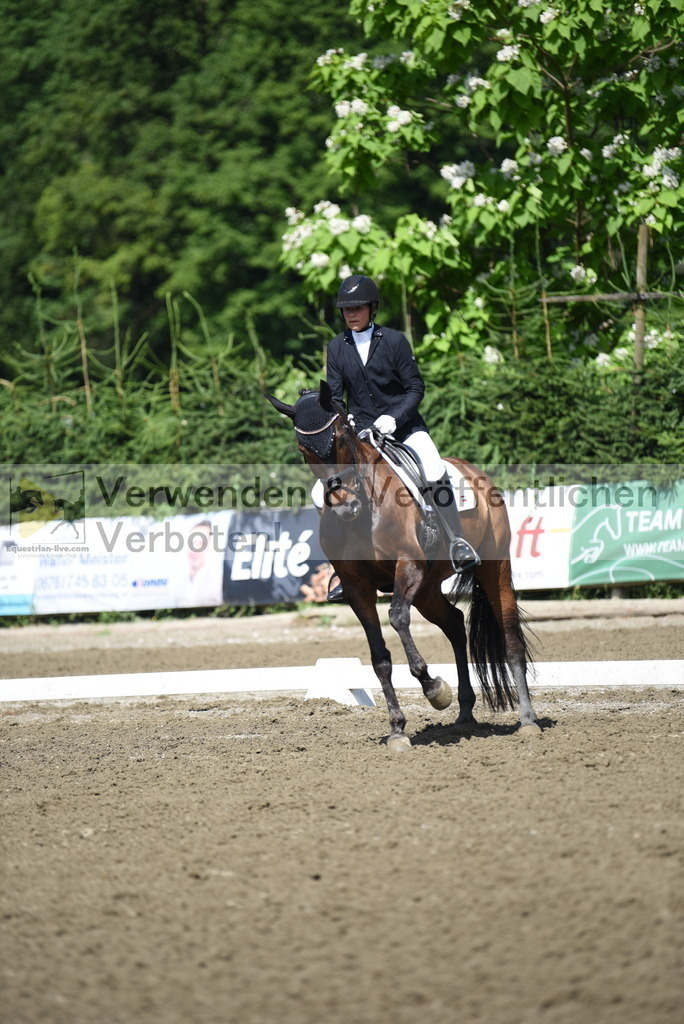 DSC_0110 | equestrian-live-com
