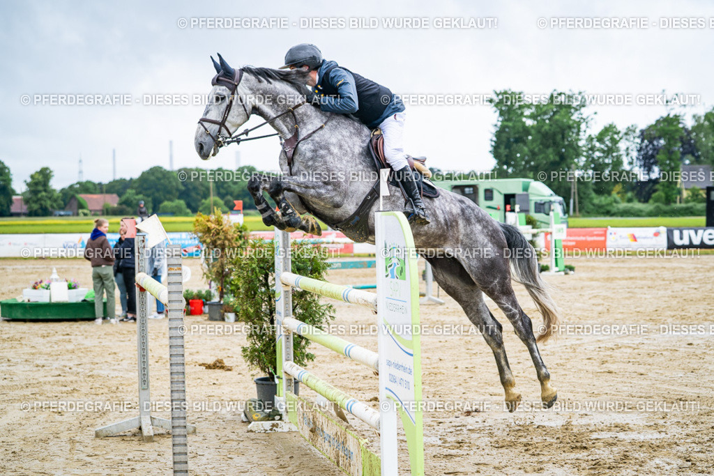 DSC03776 | Pferdegrafie