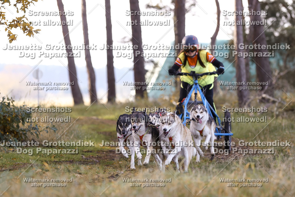 Dog Paparazzi - Elsholz 25 -37 | Dog Paparazzi Jeanette Grottendiek Fotografie & Videografie - Realisiert mit Pictrs.com