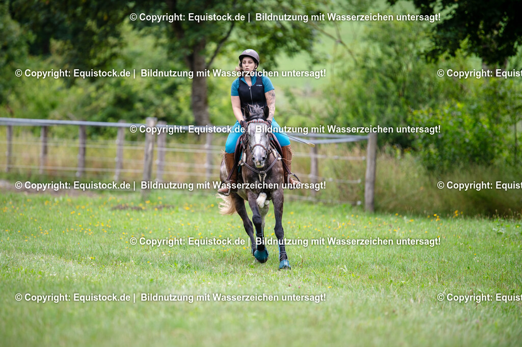 20250725_Vielseitigkeitslehrgang-Marbach_0312 | Foto: Thomas Hartig