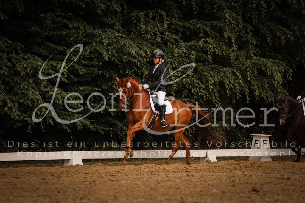 DoDrA00457 | Leoni Ertmer Photography - Realisiert mit Pictrs.com