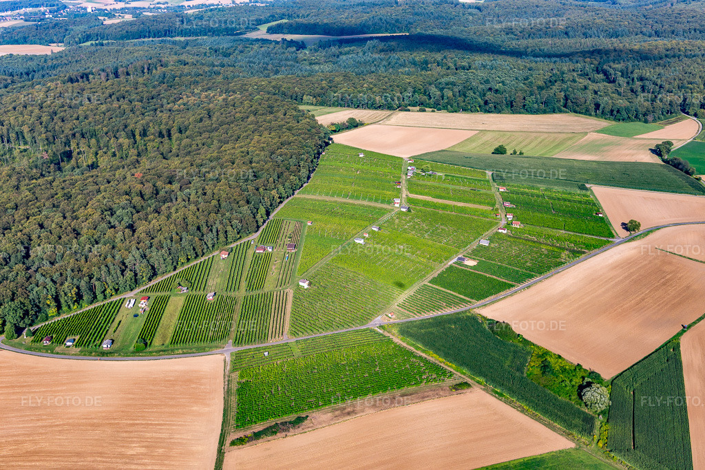 Luftbild: Weinbergs- Landschaft der Winzer- Gebiete im Ortsteil Jöhlingen in Walzbachtal im Bundesland Baden-Württemberg in Deutschland. Foto: IMG_093419.jpg vom 22.08.2016 durch Werner Riehm/FLY-FOTO.de
