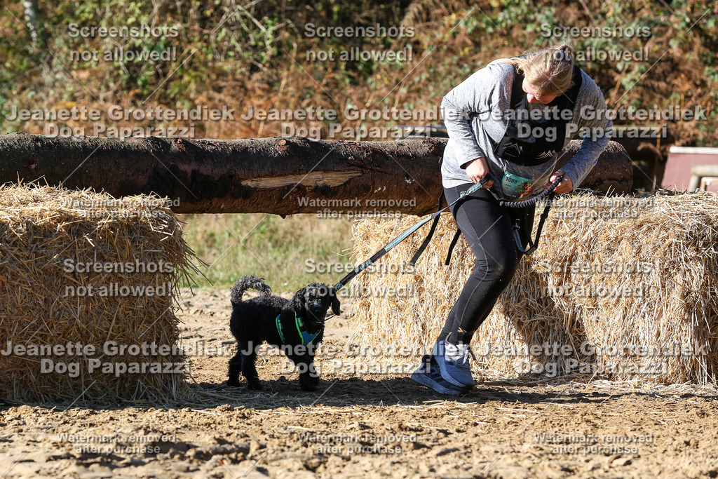 Dog Paparazzi - Strongdog 10-25-2245 | Dog Paparazzi Jeanette Grottendiek Fotografie & Videografie - Realisiert mit Pictrs.com
