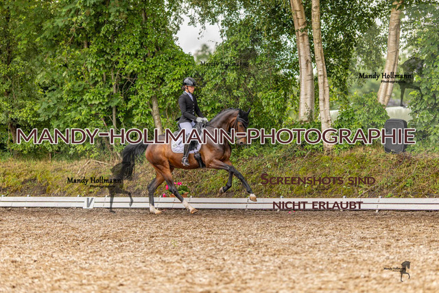 RPF 4 Filsum (341 von 535) | mandyhollmannphotographie