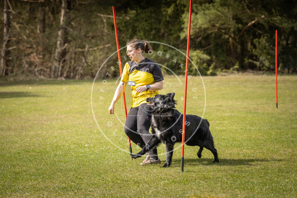 Pfotenfotografie_DV3A0099 | Hundefotografie, Tierfotograf, Pfotenfotografie, Fotoshooting Hund, Hunde Portrait, Hundesport, Hundeportraits, Heideshooting, Hunde, Sportfotograf, Hundefotograf, Turnierhundsport, THS,  - Realisiert mit Pictrs.com