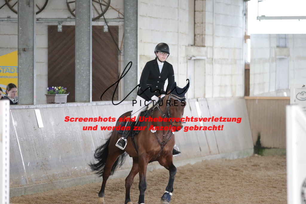 IMG_2941 | lmwpictures - Realisiert mit Pictrs.com