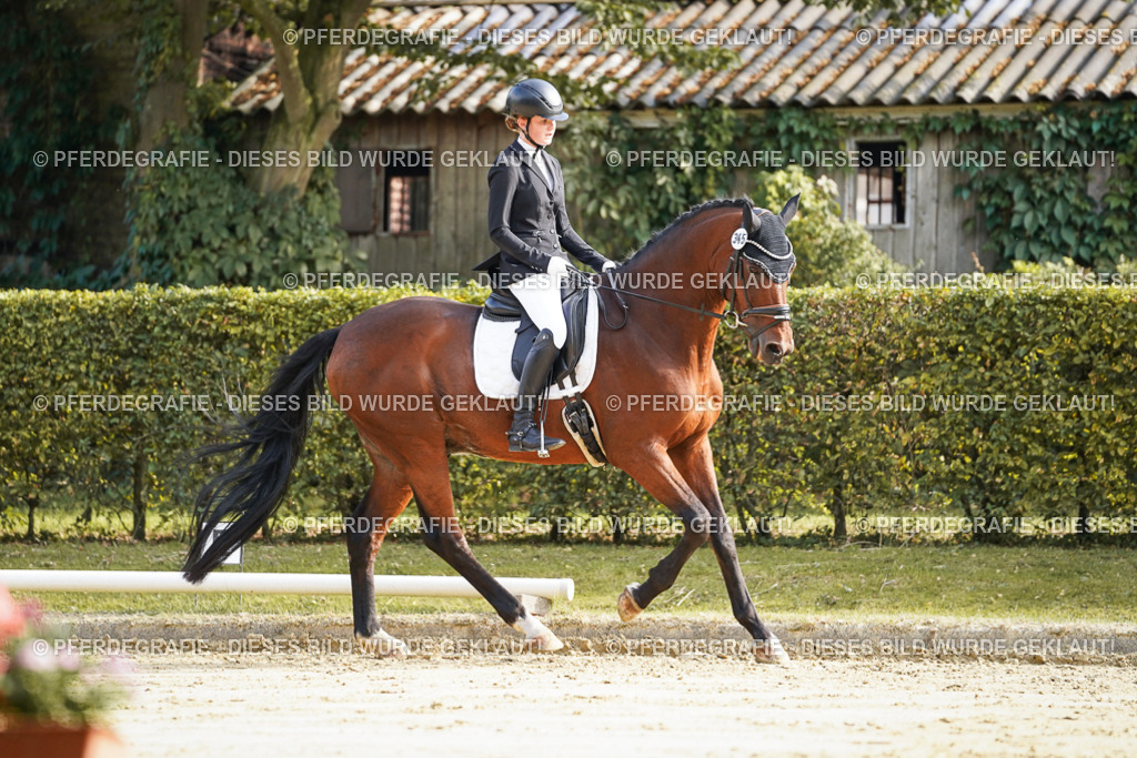 DSC05685 | Pferdegrafie