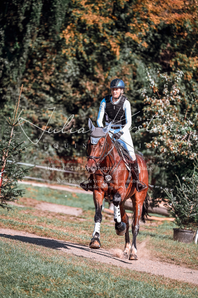 DSC_1098 | Pferde- und Turnierfotografie in Westsachsen. Pferdeportraits, Auftragszeichnungen und intuitive Kunst.