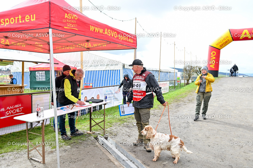 ASVÖ_ Tracking Dog World Championship 2025_ 31.03.2025-16 | 31.03.2025, AUT, ASVÖ, Tracking Dog World Championship // FCI IGP Fährtenhundeweltmeisterschaft 2025©fodo.media / Harald Dostal - Realisiert mit Pictrs.com