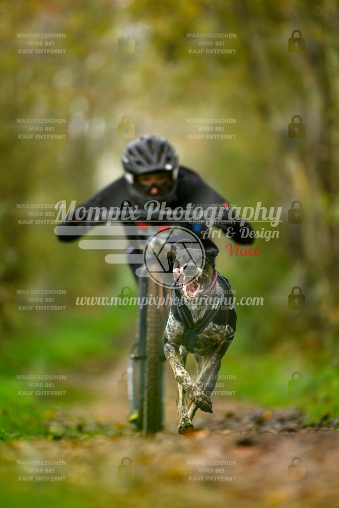 MompixPhotography_20TSB_E6_DS1-19 | PayLife