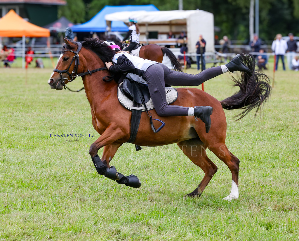 1B3A1664 | Reitsport Reiten