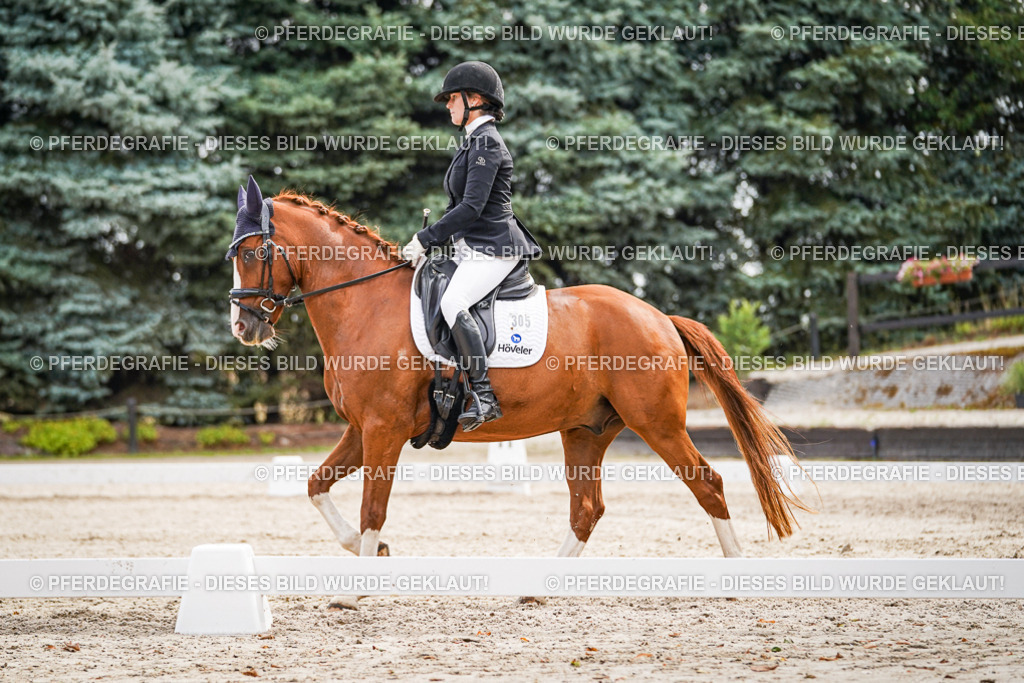 DSC01772 | Pferdegrafie