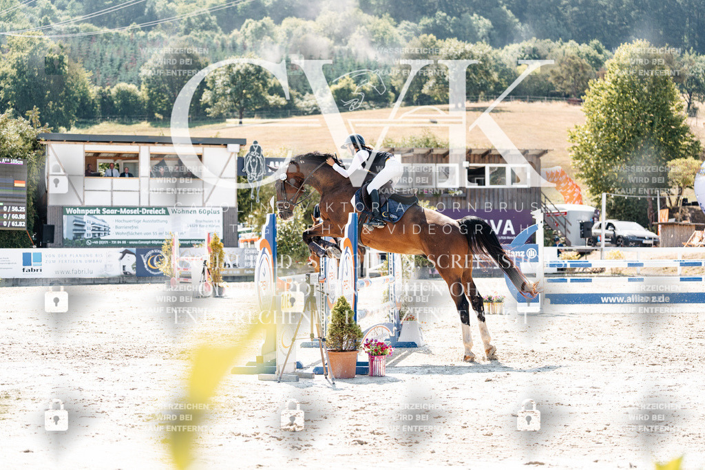CK909168 | Turnierfotografie Pferdefotografie Trier Rheinland-Pfalz Pferdesport Reitsport Tierfotografie Sportfotografie Pferdevideo Pferdevideografie Equestrianvideography equestrianphotography  - Realisiert mit Pictrs.com