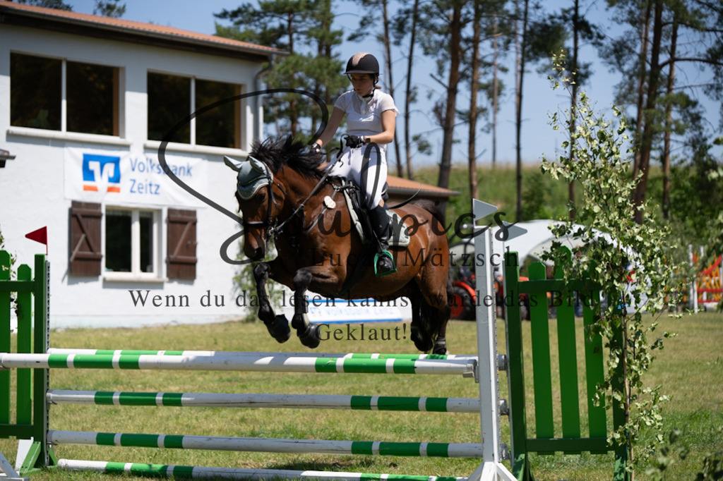 A7V06116 | Pferdefotograf