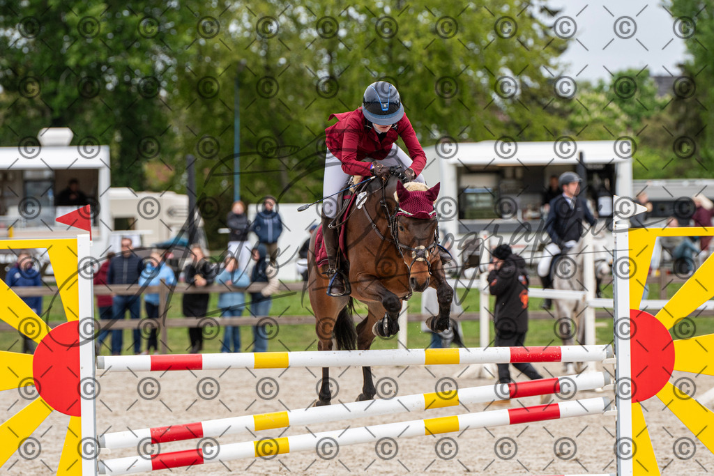 KPT_8276 | andre_photographic