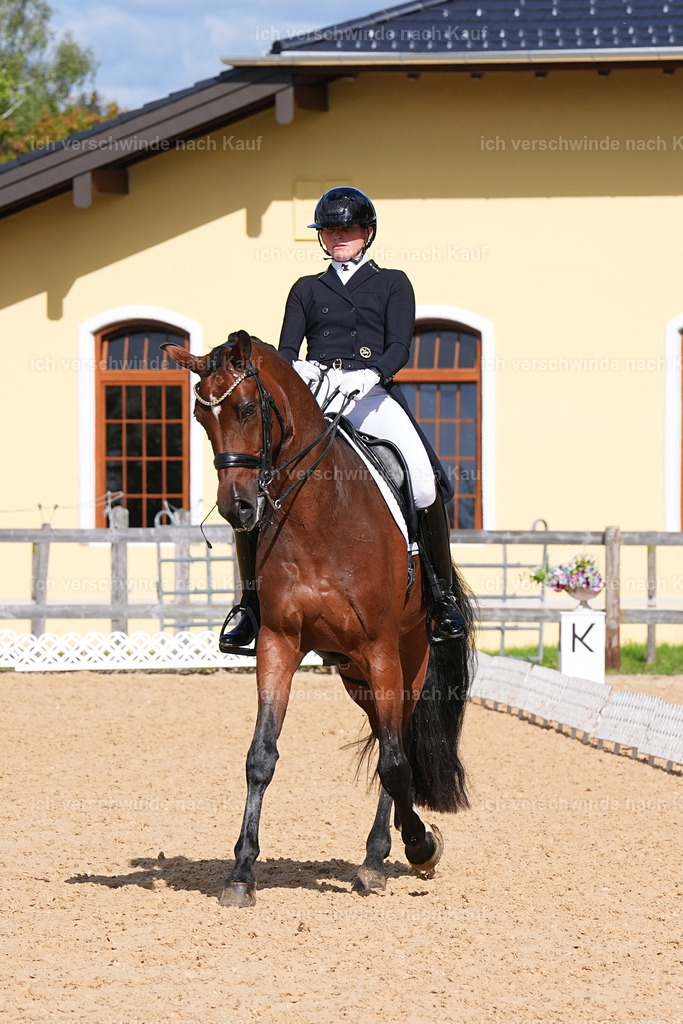 09_2-100-DRESSUR  S_  -Marixx-5976 | working equitationturnier fotograf videograf stoibphotography marixx film working equitation deutschland reitsport turnierfotografie eventfotografie equestrian events