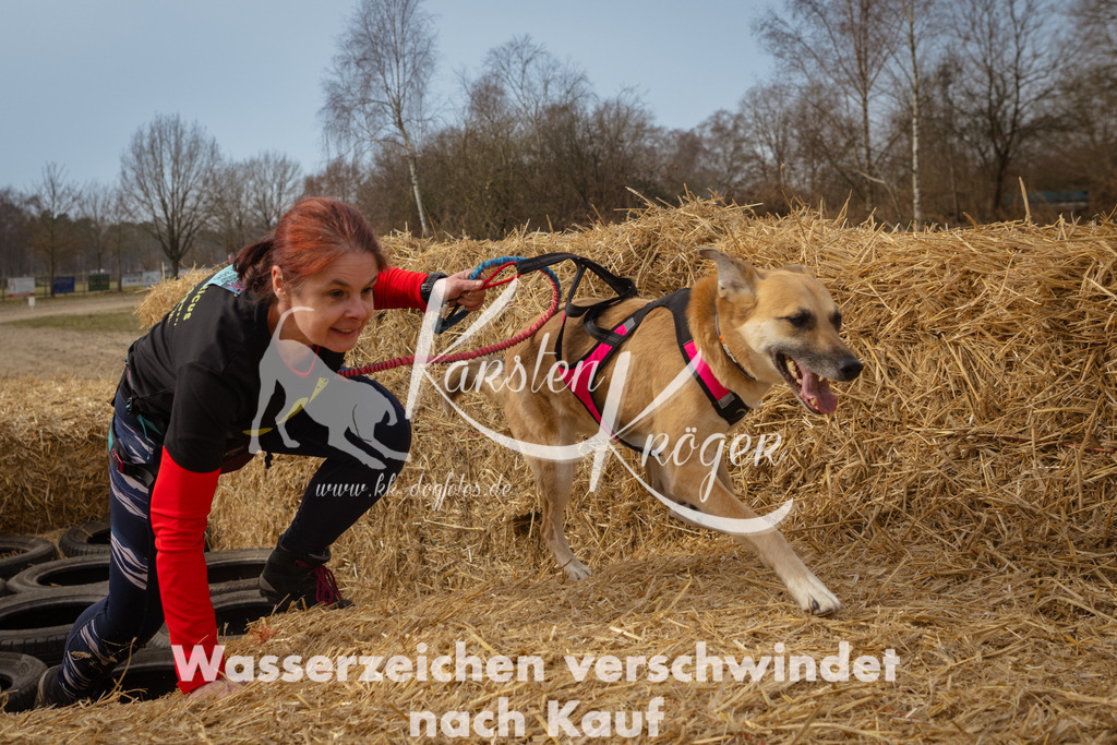 1133_ZZ94352 | kk-dogfotos