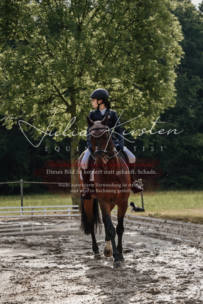 DSC_8546 | Pferde- und Turnierfotografie in Westsachsen. Pferdeportraits, Auftragszeichnungen und intuitive Kunst.