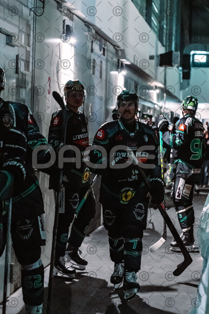 Alligators_vs_Toelz_18_11_2025-12 | Höchstadt Alligators Fotogalerie: Eishockey-Action aus Franken. Professionelle Spielfotos, Portraits & Stadionbilder zum Download. Jetzt entdecken! - Realisiert mit Pictrs.com