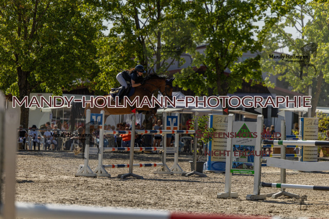 26-7-25 SPR M+-92 | mandyhollmannphotographie