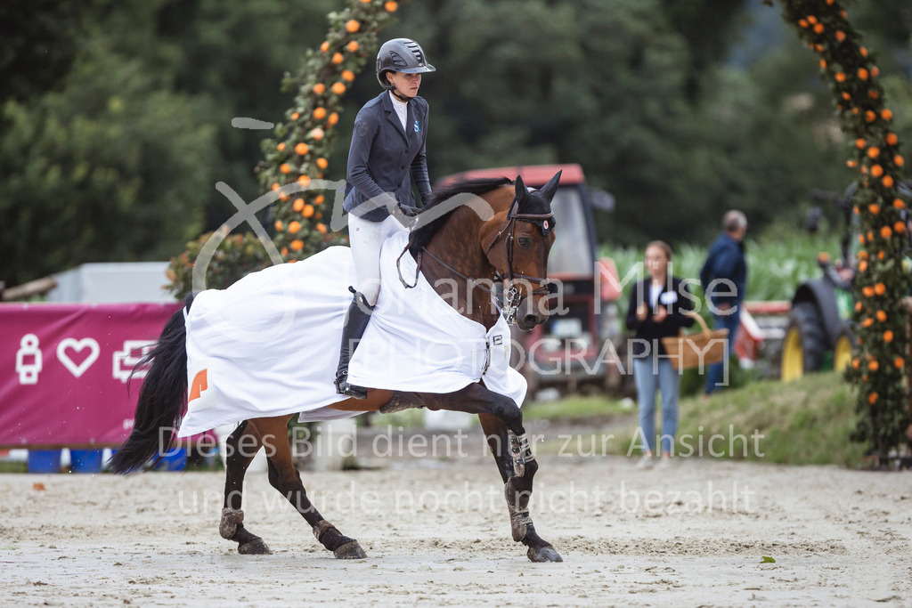 240712_BHO_ZweiPh-M2-2-673 | Deine schönsten Turniermomente als professionelle Fotos! Entdecke hochwertige Pferdesport-Fotografie im Online-Shop. Jetzt Fotos finden & bestellen!