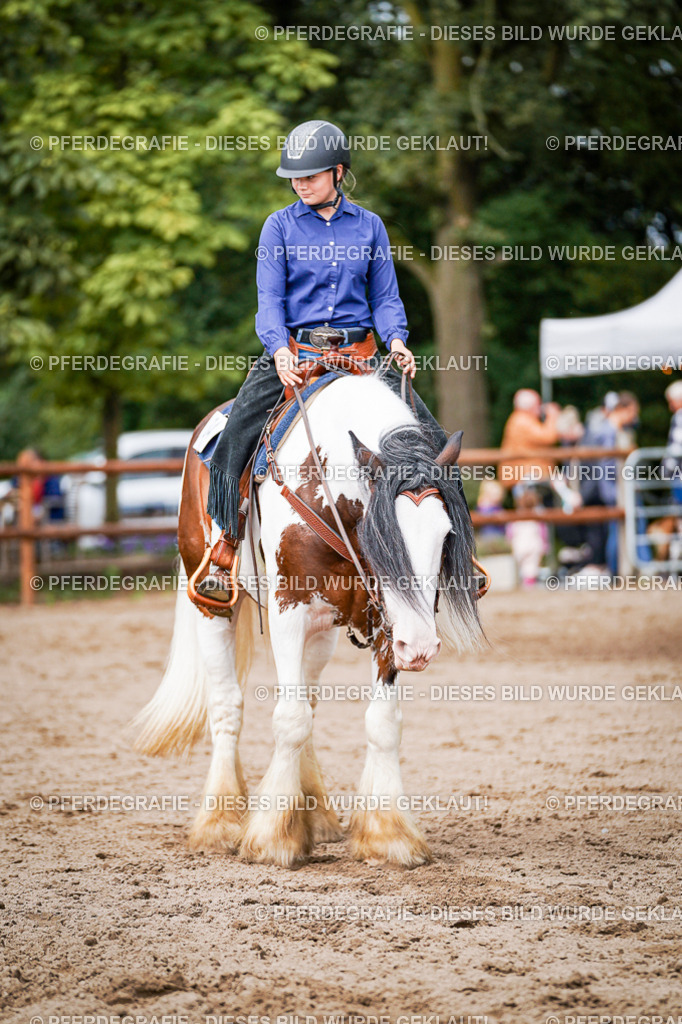 DSC07739 | Pferdegrafie