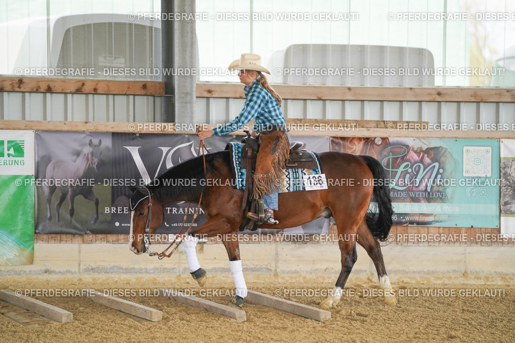 DSC02734 | Pferdegrafie