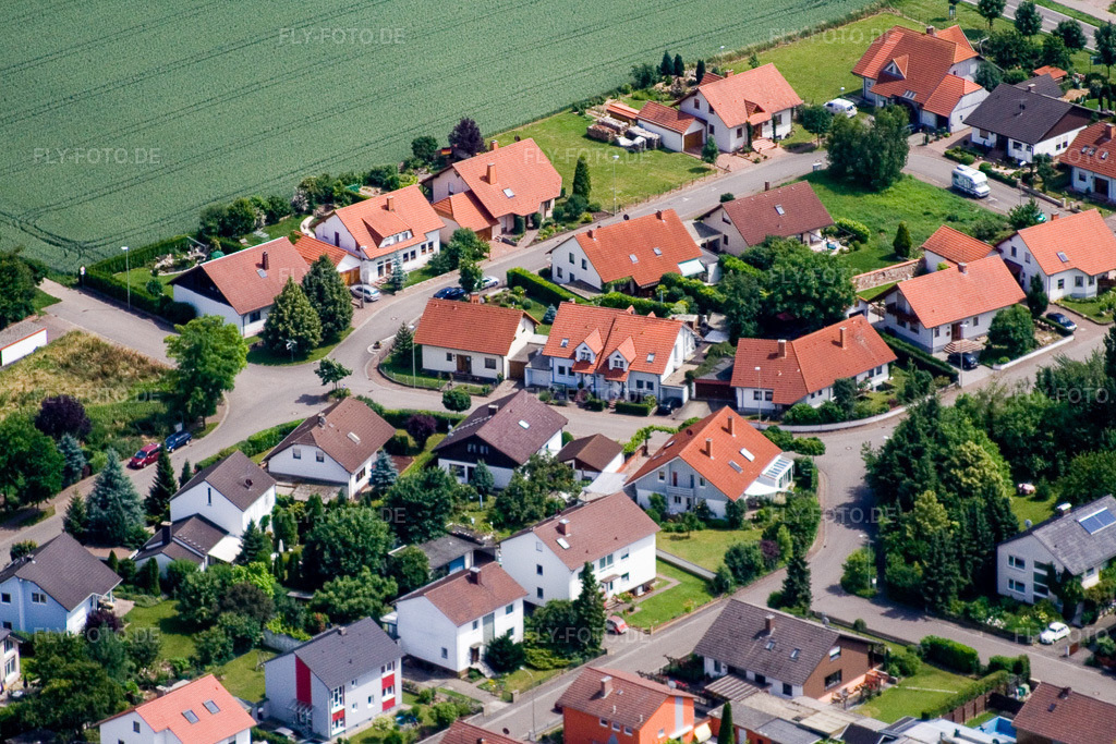 Luftbild: In den Rappengärten in Steinweiler im Bundesland Rheinland-Pfalz in Deutschland. Foto: IMG_11235.jpg vom 14.06.2008 durch Werner Riehm/FLY-FOTO.de