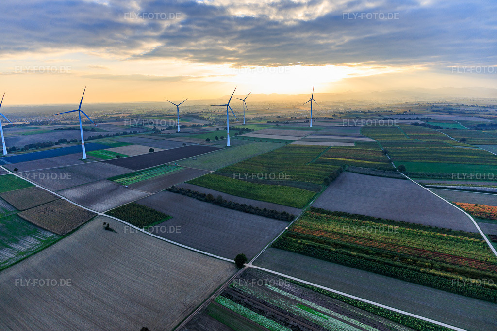 Luftbild: Windpark Freckenfeld im Abendlicht von Westen in Freckenfeld im Bundesland Rheinland-Pfalz in Deutschland. Foto: IMG_150214.jpg vom 11.10.2025 durch Werner Riehm/FLY-FOTO.deKununu