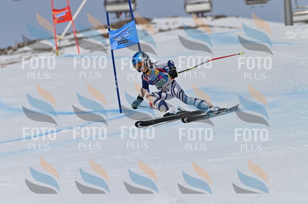 BGV_5611 | holidayphoto