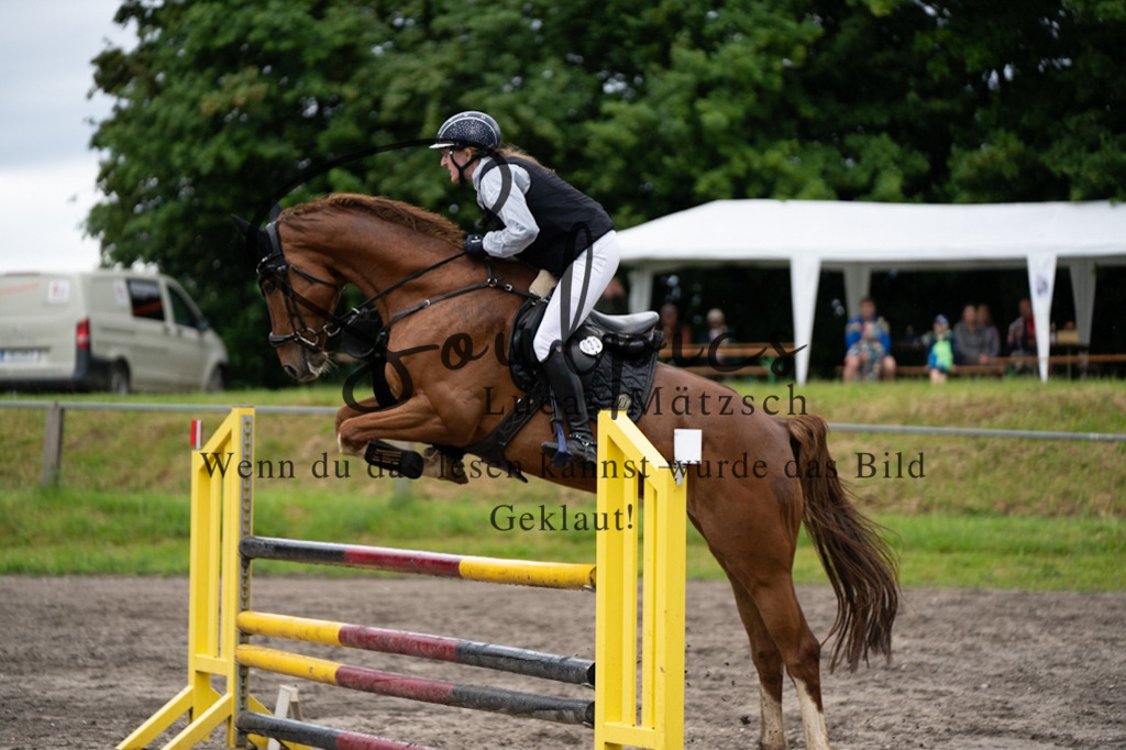 A7V05119 | Pferdefotograf